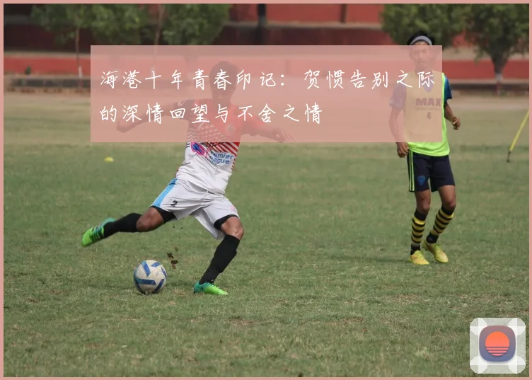 海港十年青春印记：贺惯告别之际的深情回望与不舍之情