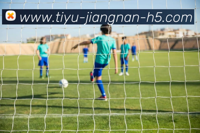 江南体育APP 封面图